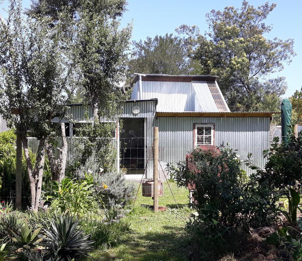 Storms River Tin House Стормсривер Экстерьер фото
